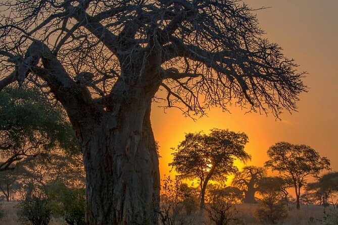 7-Day Private midrange Tour in Arusha with Airport Pickup - Key points before you book