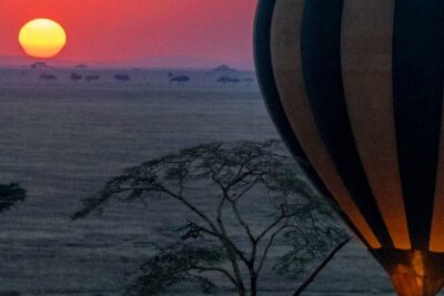 7-Day Private midrange Tour in Arusha with Airport Pickup