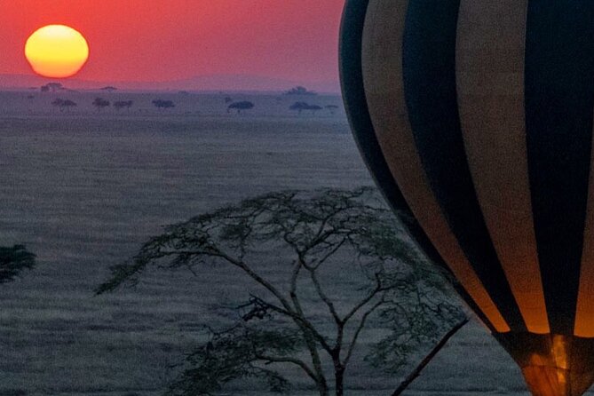 7-Day Private midrange Tour in Arusha with Airport Pickup - Day 2: Lake Manyara’s compact wildlife zone