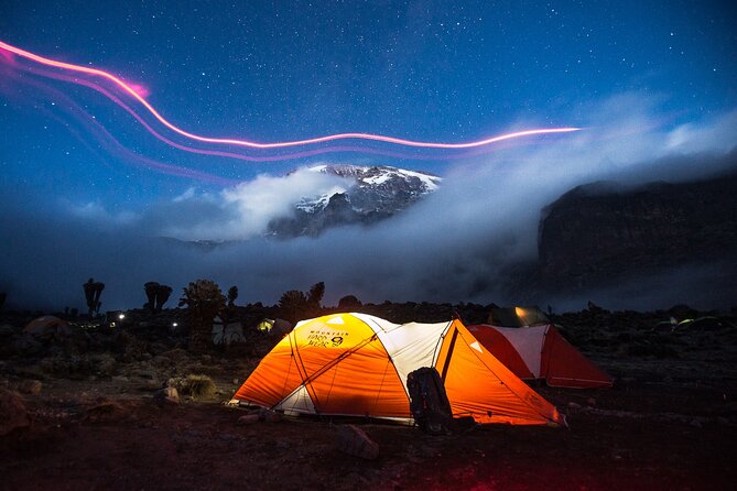 7 Day Rongai Kilimanjaro Summit - Day 3: Giant Senecios and Mawenzi views