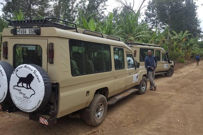 7-Day Safari (Including Serengeti) & Zanzibar Extension - Zanzibar provides the right change of pace