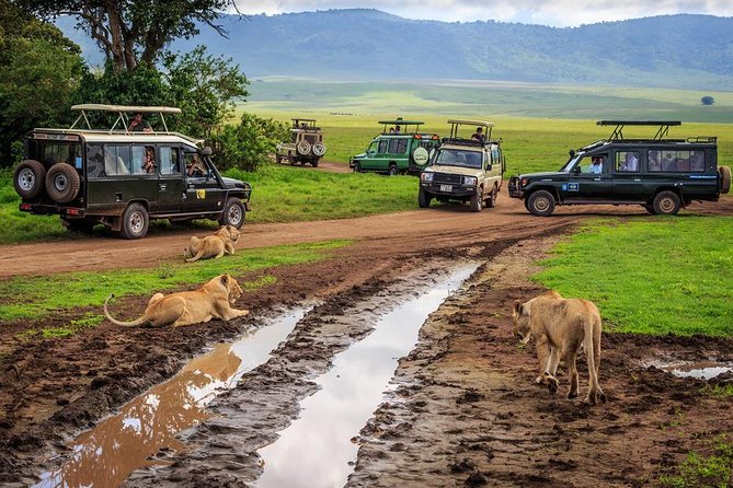 7-Day Safari (Including Serengeti) & Zanzibar Extension - Price and what you should confirm