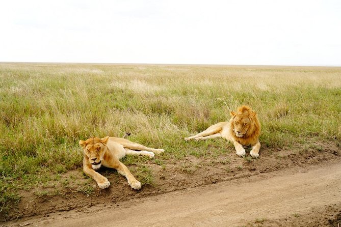 7 Day Tanzania visiting Arusha, Lake Manyara, Serengeti, Ngorongoro & Tarangire - What this seven-day Tanzania safari really covers