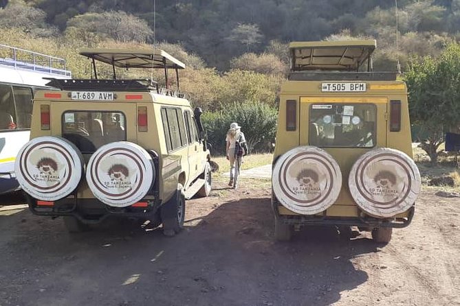 7 Day Tanzania visiting Arusha, Lake Manyara, Serengeti, Ngorongoro & Tarangire - Day 3: The road to Serengeti changes the scale