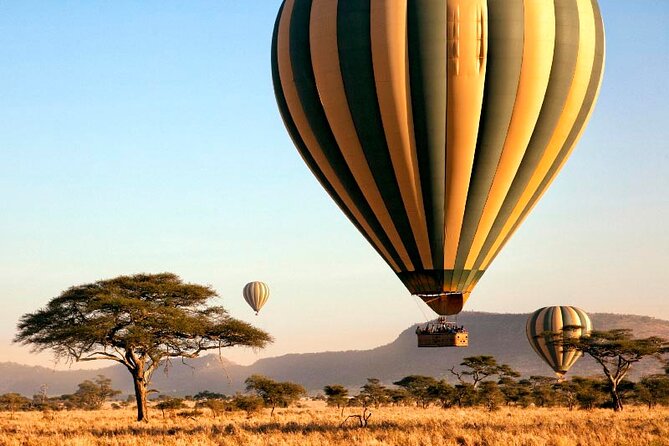 7 Days Best Luxury Safari To Tanzania - Arusha arrival: a soft landing before the long drives