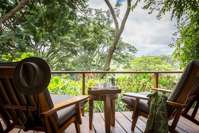 7 Days Best Luxury Safari To Tanzania - Ngorongoro Crater: one dramatic day in a natural enclosure