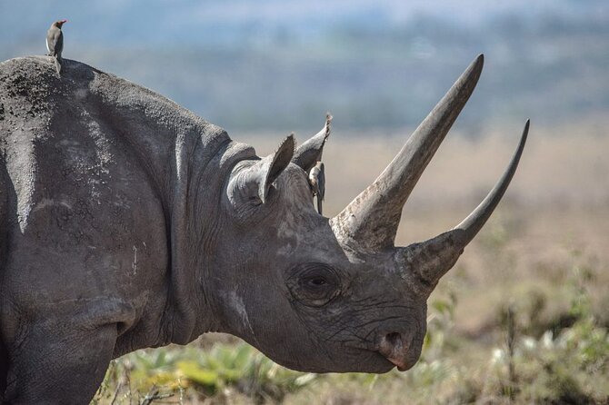 7 Days Best Luxury Safari To Tanzania - The road to Serengeti: a scenic transition with a cost
