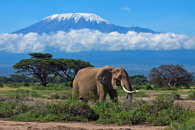 7 Days Best Luxury Safari To Tanzania - Lake Manyara and Mto wa Mbu: a more varied day