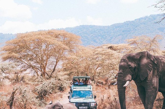 7 days great migration safari - Day 3: A full wildlife day around Lobo