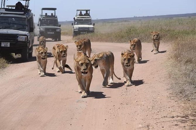 7 days great migration safari - Day 6: Descending into Ngorongoro Crater