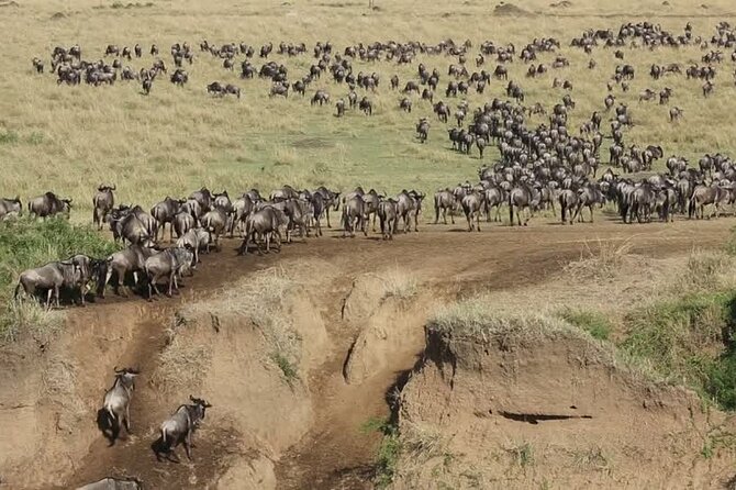 7 Days Group Camping Tarangire/Serengeti/Ngorongoro Crater and Lake Manyara - Ngorongoro Crater Packs Big Wildlife Into One Day