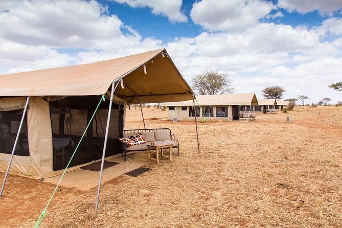 7 Days Group Camping Tarangire/Serengeti/Ngorongoro Crater and Lake Manyara - Lake Manyara Adds Birds, Cliffs, and a Different Safari Mood