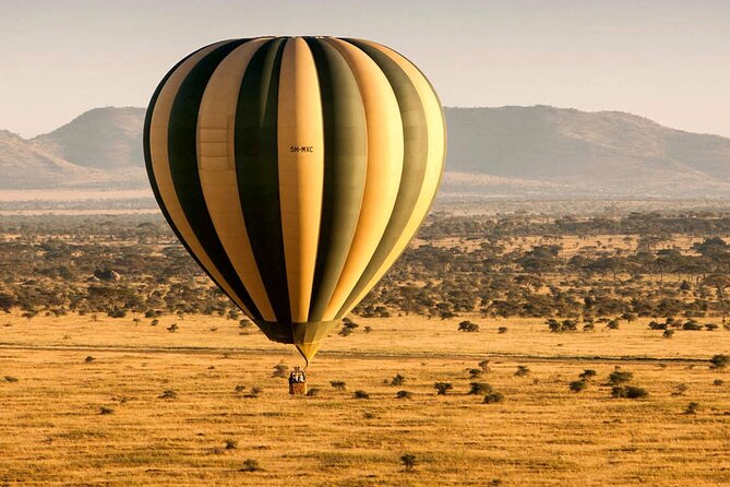 7 Days in Tanzania Northern Circuit Safari - Key points at a glance