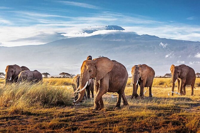 7 Days in Tanzania Northern Circuit Safari - Why this Northern Circuit route works