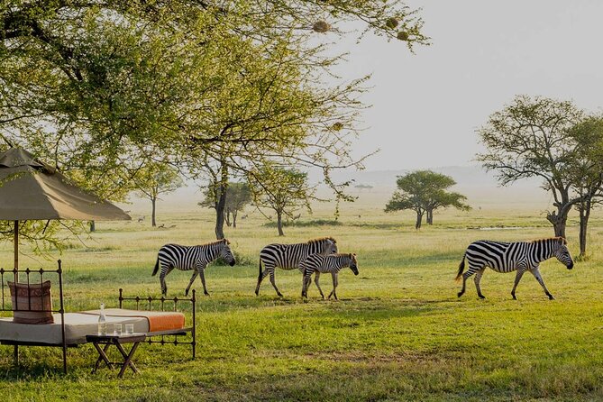 7 Days in Tanzania Northern Circuit Safari - The long road to the Serengeti