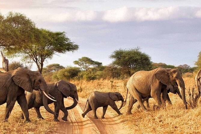 7 Days in Tanzania Northern Circuit Safari - Arriving in Arusha on day one