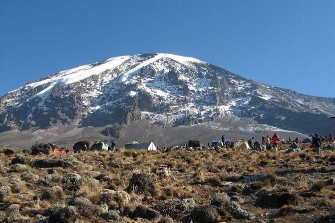 7 Days Kilimanjaro Climb Machame route - Day 5: Karanga to Barafu Camp