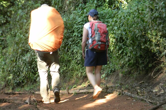 7 Days Kilimanjaro Climbing | Hiking Tour via the Lemosho Route - What the $965 package really gives you
