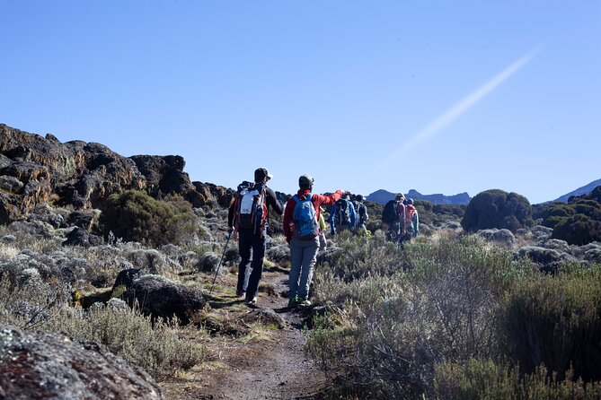 7 Days Kilimanjaro Climbing | Hiking Tour via the Lemosho Route - Day 4: The Barranco Wall and Karanga Valley