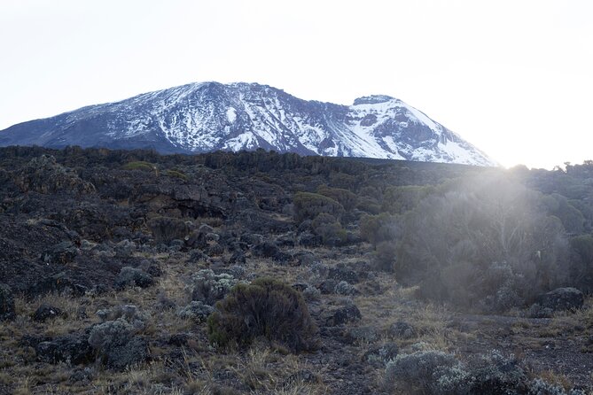 7 Days Kilimanjaro Climbing | Hiking Tour via the Lemosho Route - Day 5: Karanga to Barafu Camp at 4,664 meters
