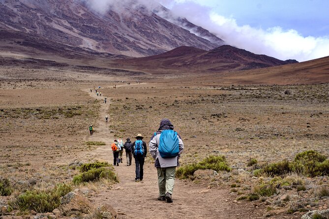 7 Days Kilimanjaro Mountain Hiking with Professional Guide - Key points to know before booking