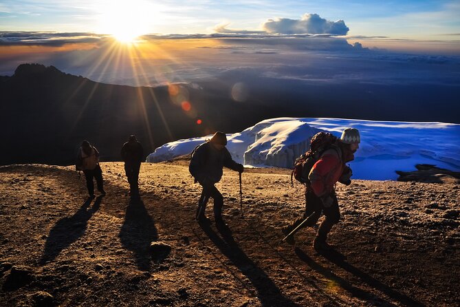 7 Days Kilimanjaro trek via Machame route - Key points to know before choosing this climb