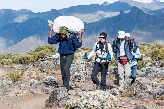 7 Days Kilimanjaro trek via Machame route - Day 3: high point near Lava Tower, then Barranco