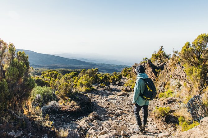 7 Days Kilimanjaro trek via Machame route - Day 5: alpine desert to Barafu Camp