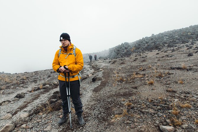 7 Days Kilimanjaro trek via Machame route - Day 7: forest descent and the ride back to Arusha