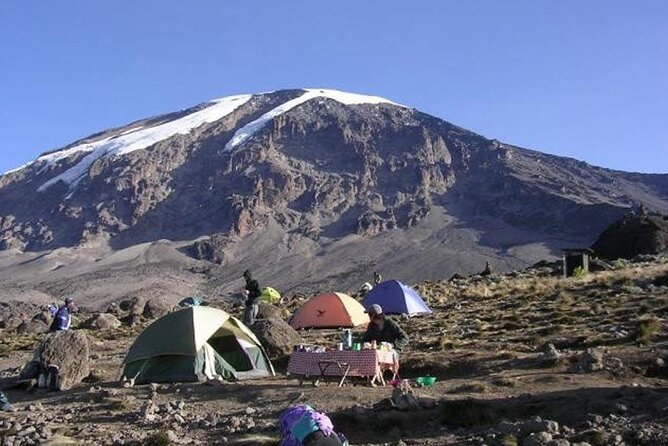 7 Days Kilimanjaro Trekking Machame Route with Professional Guide - Day 3: Leaving the forest for Shira Plateau
