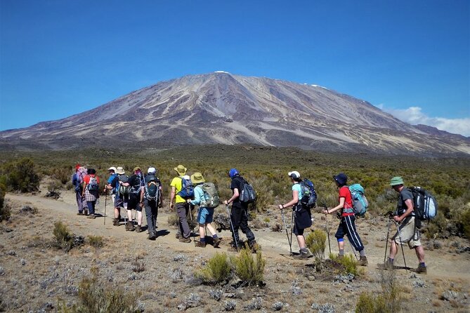 7 Days Kilimanjaro Trekking Machame Route with Professional Guide - Day 6: Barafu Camp and a short acclimatization hike