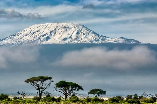 7 Days Kilimanjaro via Machame route affordable price - Day two: Leaving the forest for Shira Camp