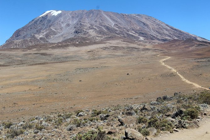 7 days Lemosho route - Day 6 at Barafu Camp: a quiet afternoon before midnight