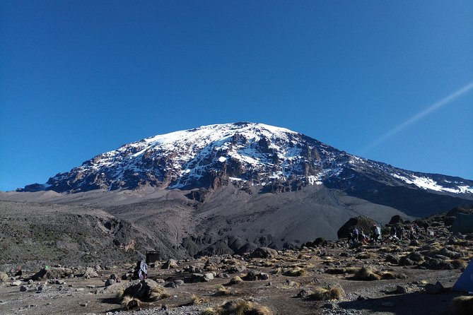 7 days Lemosho route Climbing Mt.Kilimanjaro - Why Lemosho is a strong seven-day choice