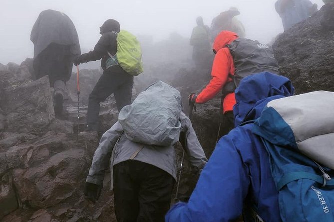 7 days Lemosho route Climbing Mt.Kilimanjaro - Day 2: Moorland, Shira Ridge, and the first big Kibo view