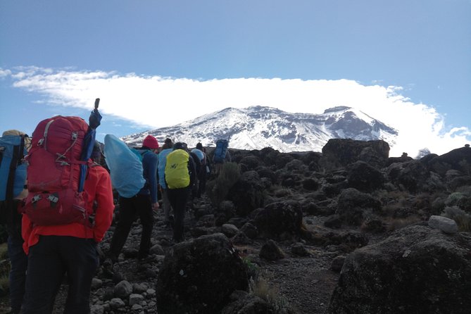 7 days Lemosho route Climbing Mt.Kilimanjaro - Day 7: Mweka Gate, certificates, and the return to Moshi