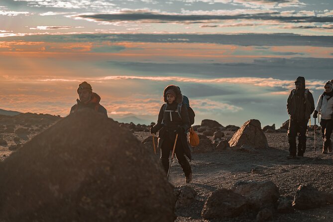 7 Days Machame route - Kilimanjaro - Day 2: Leaving the forest for Shira Plateau