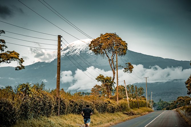 7 Days Machame route - Kilimanjaro - Day 4: Climbing the Barranco Wall