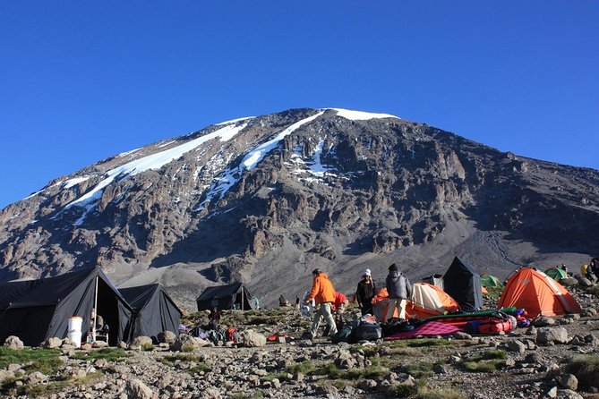 7 Days Machame Route Kilimanjaro Trekking - Key things to know before booking