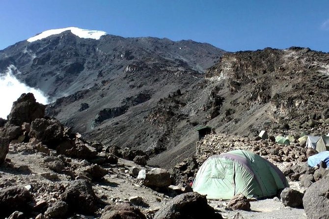 7 Days Machame Route Kilimanjaro Trekking - Day 1: 18 kilometers through Kilimanjaro’s rainforest