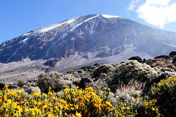 7 Days Machame Route Trek Mount Kilimanjaro - Day 1: Machame Gate to rainforest camp