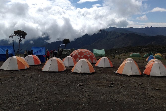 7 days_Mount kilimanjaro Hiking Lemosho Route - Day 6: The summit push and descent to Millennium Camp