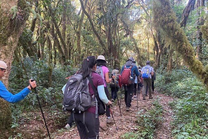 7 Days Mount Kilimanjaro Machame Route - Key Points Before You Book