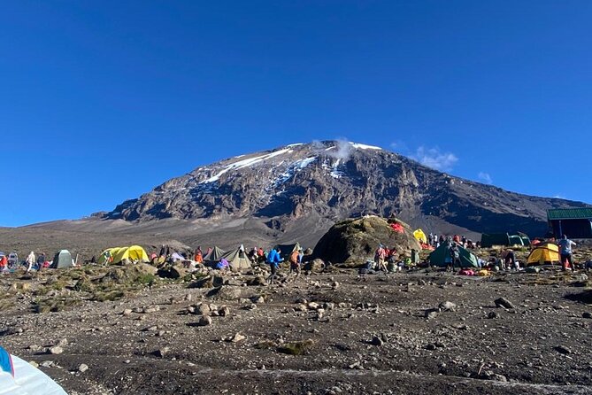 7 Days Mount Kilimanjaro Machame Route - Day 1: Machame Gate to Rainforest Camp