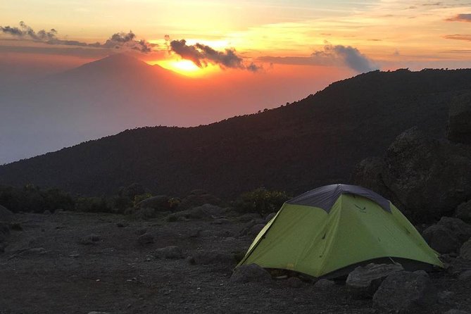 7 Days Mount Kilimanjaro Machame Route - Day 7: Mweka descent and the return to Arusha