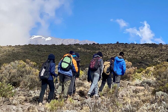7 Days Mount Kilimanjaro Machame Route - Day 2: Heather and Moorland on the Way to Shira