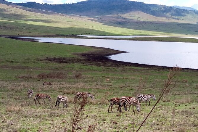 7 days Mt Kilimanjaro,Tarangire NP, Ngorongoro, Serengeti NP, Lake Manyara NP - Day 1: Marangu Gate to Mandara Hut