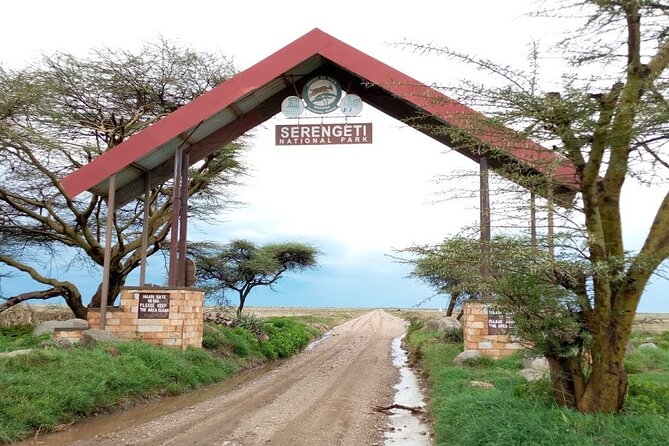 7 days Mt Kilimanjaro,Tarangire NP, Ngorongoro, Serengeti NP, Lake Manyara NP - Day 2: Elephants and baobabs in Tarangire