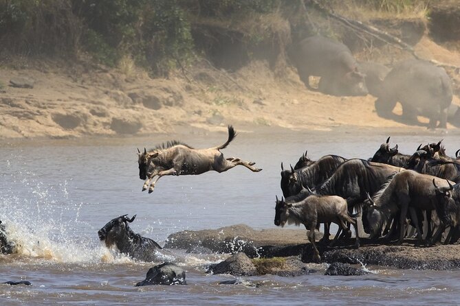 7 Days Northern Luxury Safari - Key points to know before booking