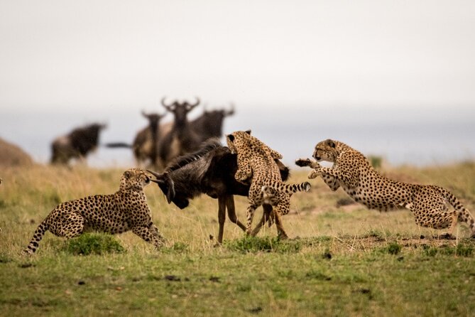 7 Days Northern Luxury Safari - Why this seven-day route works